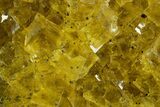 Gemmy Yellow Fluorite Cluster - Spain #374277-1